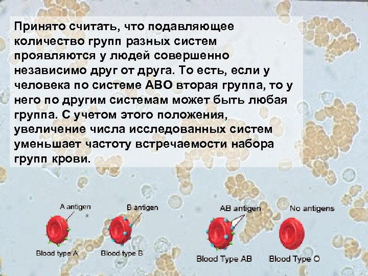 Принято считать, что подавляющее количество групп разных систем проявляются у людей совершенно независимо друг