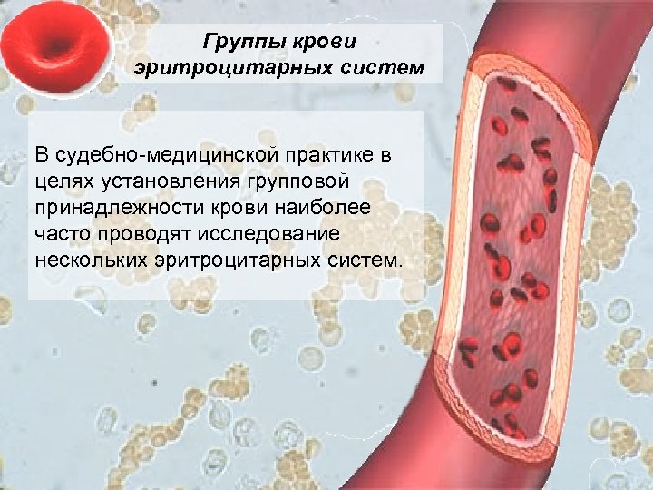 Презентация исследование крови