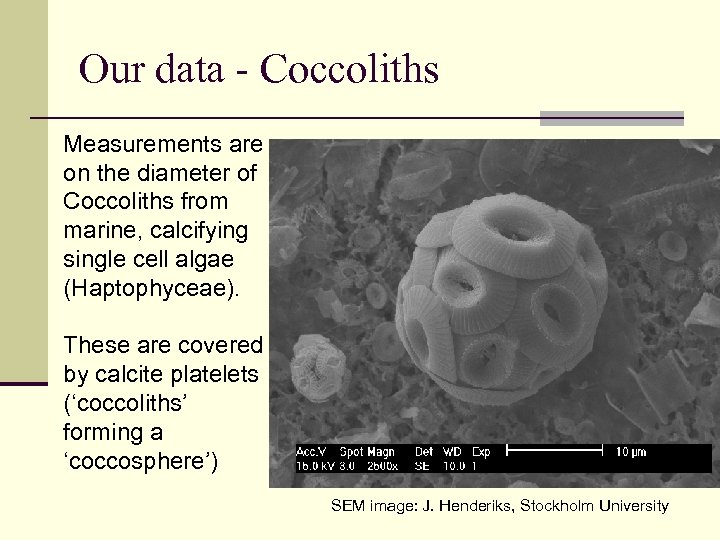 Our data - Coccoliths Measurements are on the diameter of Coccoliths from marine, calcifying