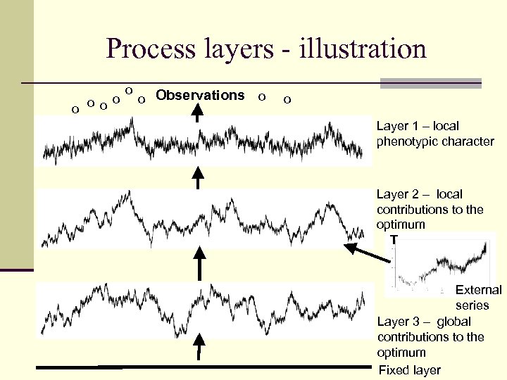 Process layers - illustration o o o Observations o o Layer 1 – local