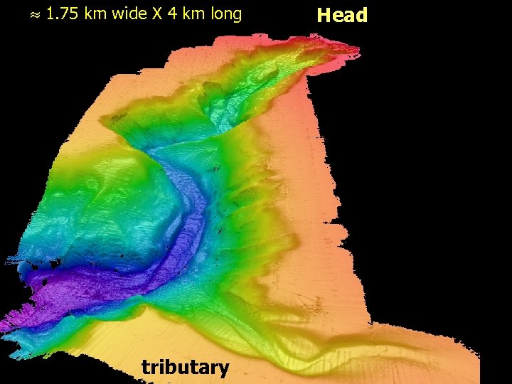  1. 75 km wide X 4 km long tributary Head 