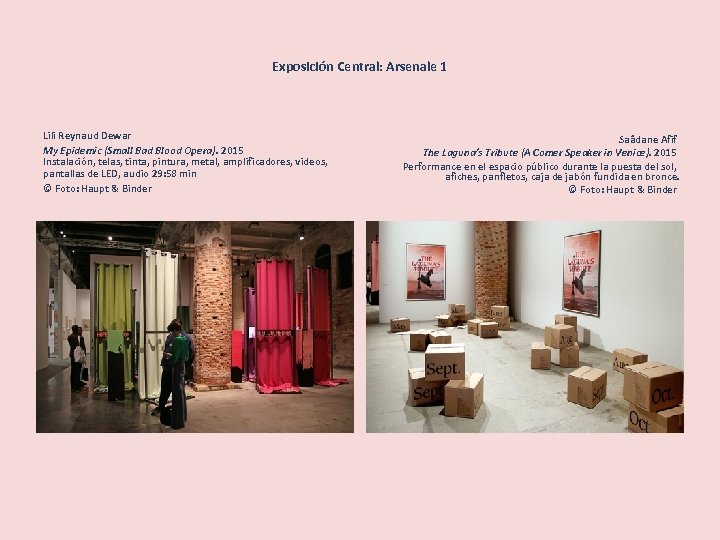 Exposición Central: Arsenale 1 Lili Reynaud Dewar My Epidemic (Small Bad Blood Opera). 2015