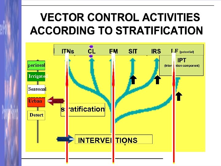 perineal Irrigated Seasonal Urban Desert stratification INTERVENTIONS 