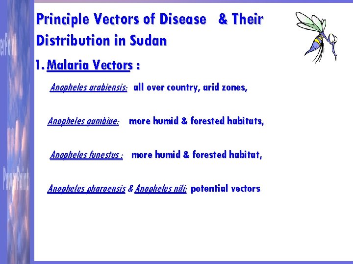 Principle Vectors of Disease & Their Distribution in Sudan 1. Malaria Vectors : Anopheles