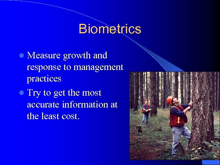 Biometrics l Measure growth and response to management practices l Try to get the
