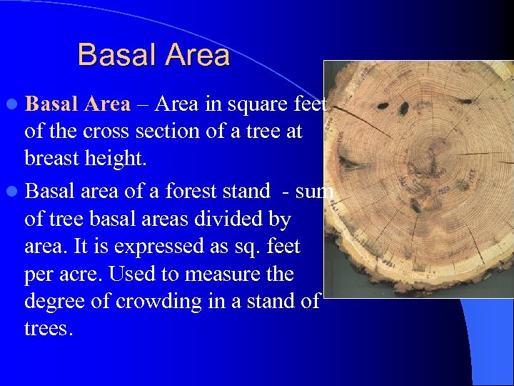 Basal Area l Basal Area – Area in square feet of the cross section