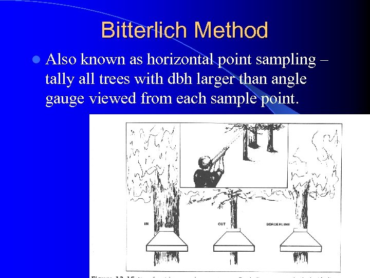 Bitterlich Method l Also known as horizontal point sampling – tally all trees with