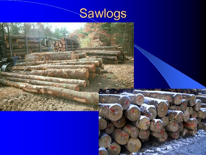 Sawlogs 