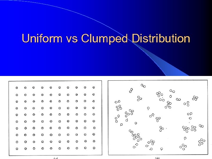 Uniform vs Clumped Distribution 