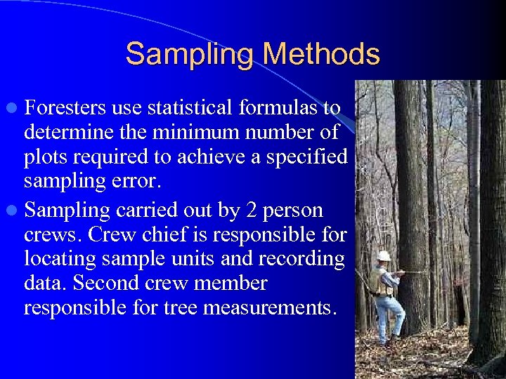 Sampling Methods l Foresters use statistical formulas to determine the minimum number of plots