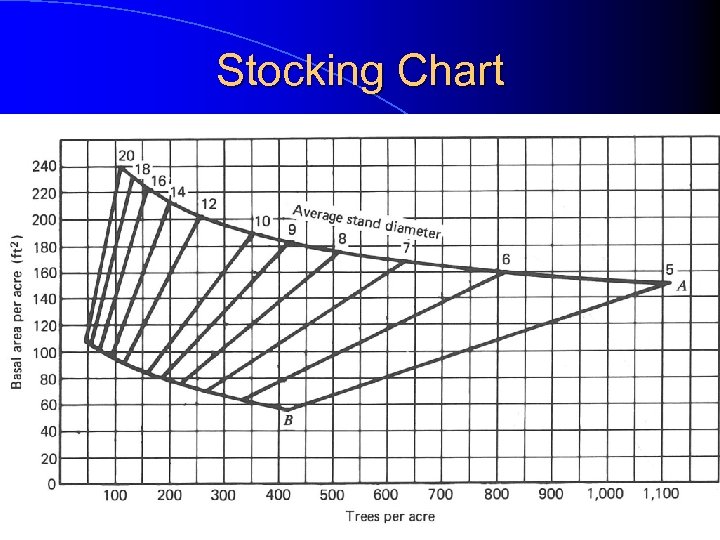 Stocking Chart 