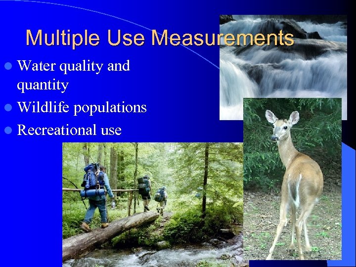 Multiple Use Measurements l Water quality and quantity l Wildlife populations l Recreational use