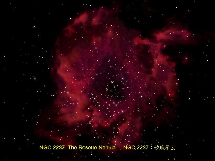 NGC 2237: The Rosette Nebula NGC 2237：玫瑰星云 