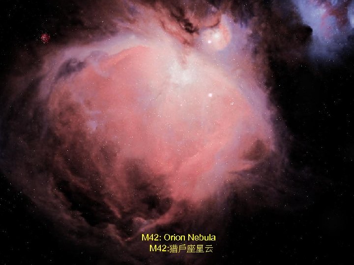 M 42: Orion Nebula M 42: 猎戶座星云 