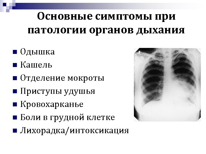 Основные симптомы при патологии органов дыхания Одышка n Кашель n Отделение мокроты n Приступы