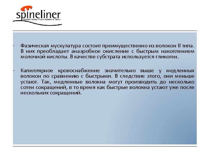 - Фазическая мускулатура состоит преимущественно из волокон II типа. В них преобладает анаэробное окисление