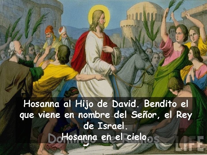 Hosanna al Hijo de David. Bendito el que viene en nombre del Señor, el