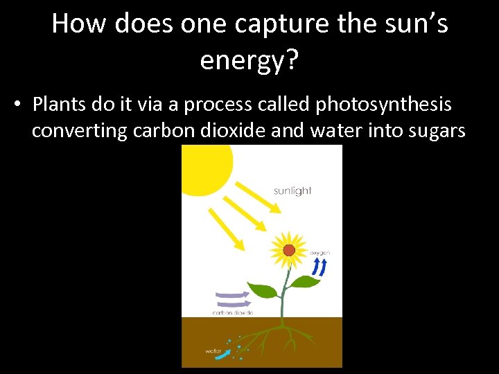 How does one capture the sun’s energy? • Plants do it via a process