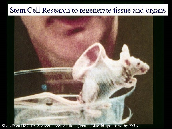 Stem Cell Research to regenerate tissue and organs Slide from HSC Dr. Scherer’s presentation