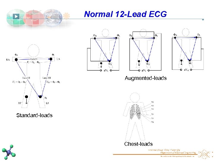 Normal 12 -Lead ECG Augmented-leads Standard-leads Chest-leads 