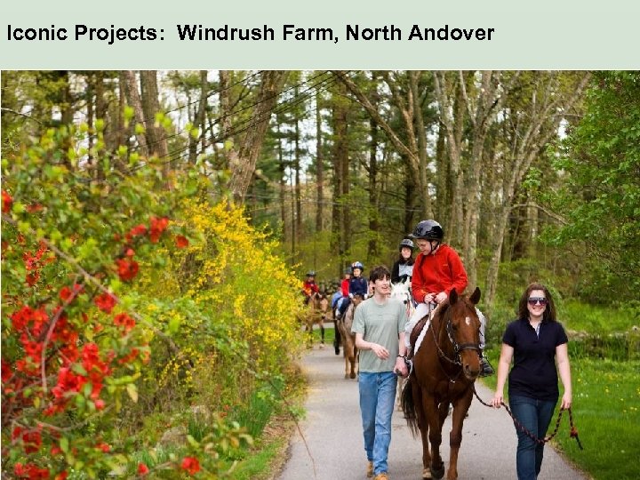 Iconic Projects: Windrush Farm, North Andover • Text 