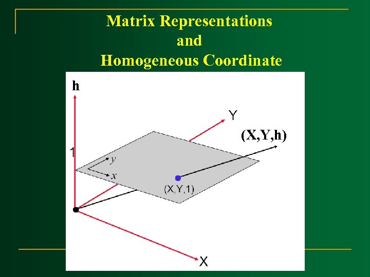 Matrix Representations and Homogeneous Coordinate h (X, Y, h) 