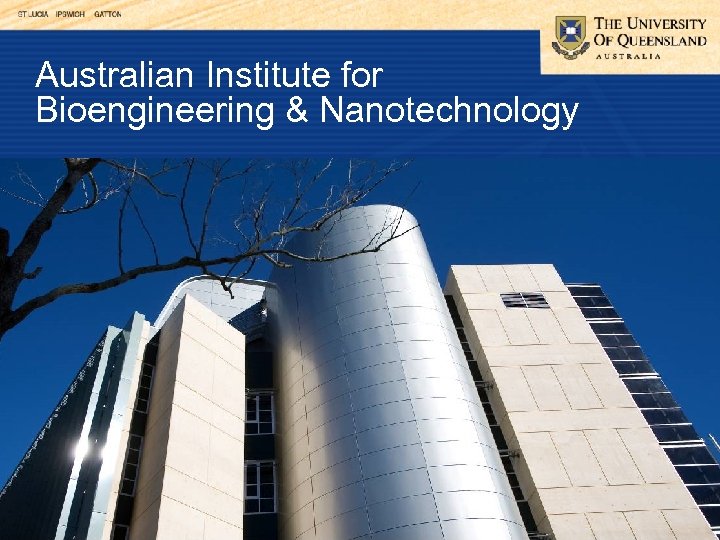 Australian Institute for Bioengineering & Nanotechnology 