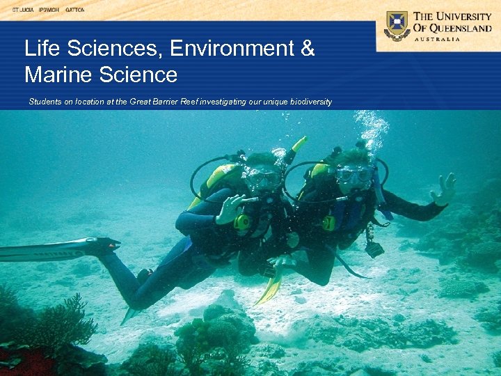 Life Sciences, Environment & Marine Science Students on location at the Great Barrier Reef