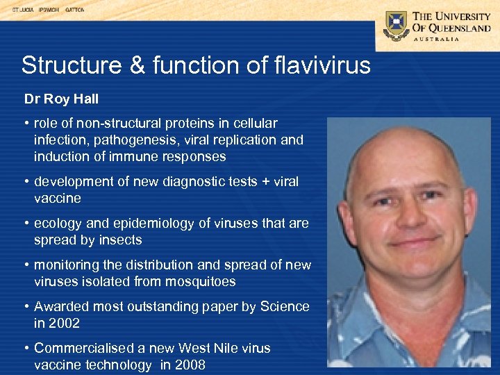 Structure & function of flavivirus Dr Roy Hall • role of non-structural proteins in