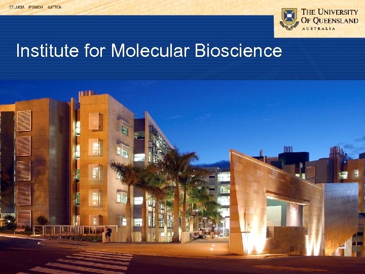 Institute for Molecular Bioscience 