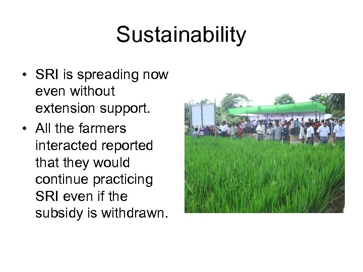 Sustainability • SRI is spreading now even without extension support. • All the farmers