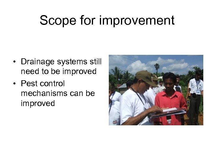 Scope for improvement • Drainage systems still need to be improved • Pest control