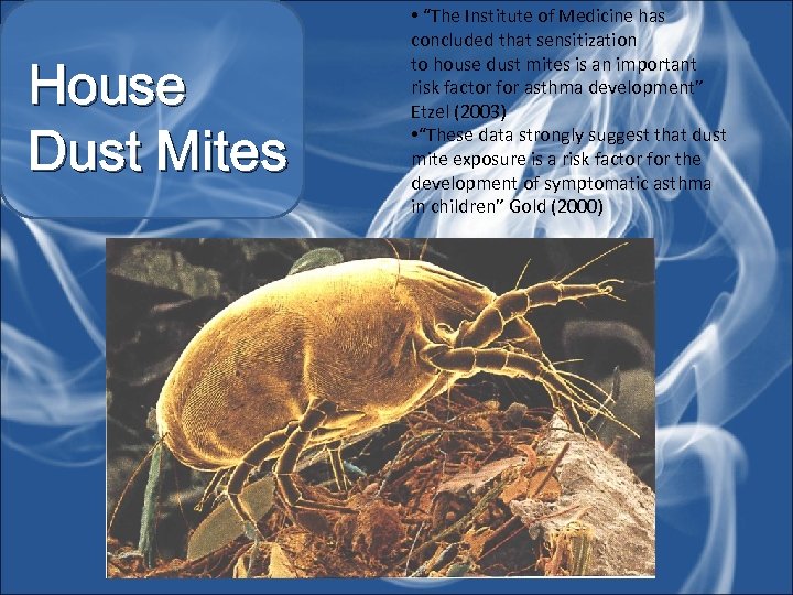 House Dust Mites • “The Institute of Medicine has concluded that sensitization to house