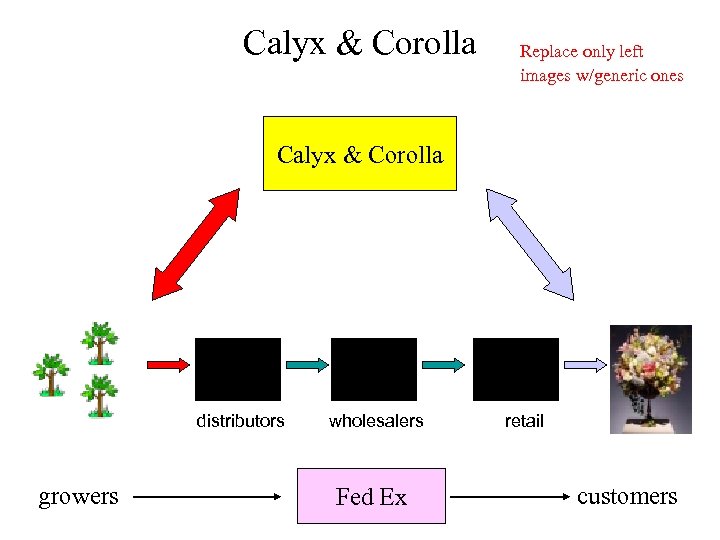 Calyx & Corolla Replace only left images w/generic ones Calyx & Corolla distributors growers