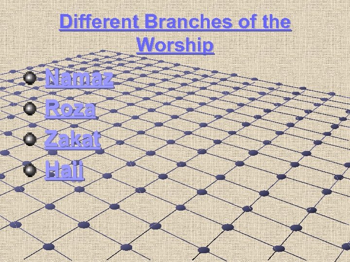 Different Branches of the Worship Namaz Roza Zakat Hajj 