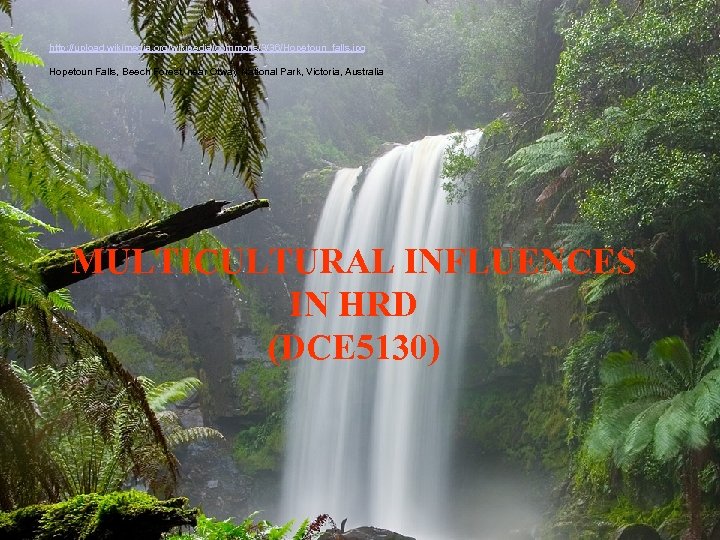 http: //upload. wikimedia. org/wikipedia/commons/3/36/Hopetoun_falls. jpg Hopetoun Falls, Beech Forest, near Otway National Park, Victoria,
