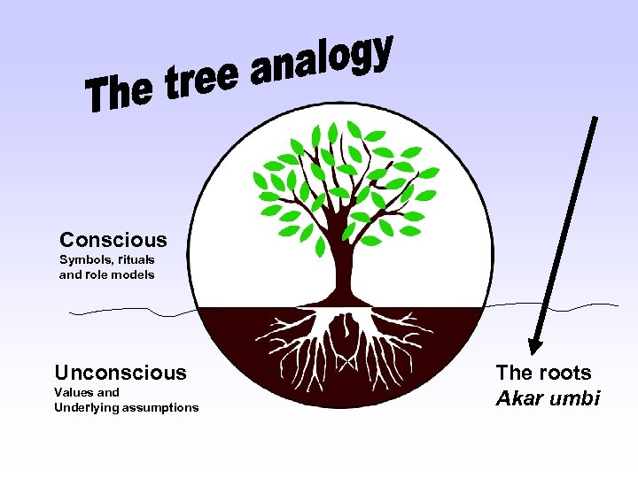 Conscious Symbols, rituals and role models Unconscious Values and Underlying assumptions The roots Akar