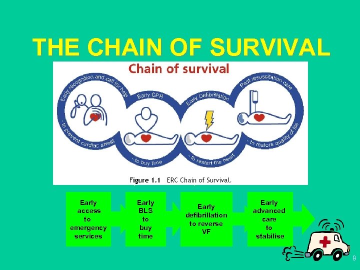 THE CHAIN OF SURVIVAL up to 4 min Early access to emergency services up