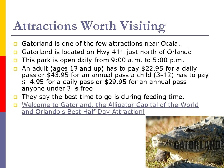 Attractions Worth Visiting p p p Gatorland is one of the few attractions near