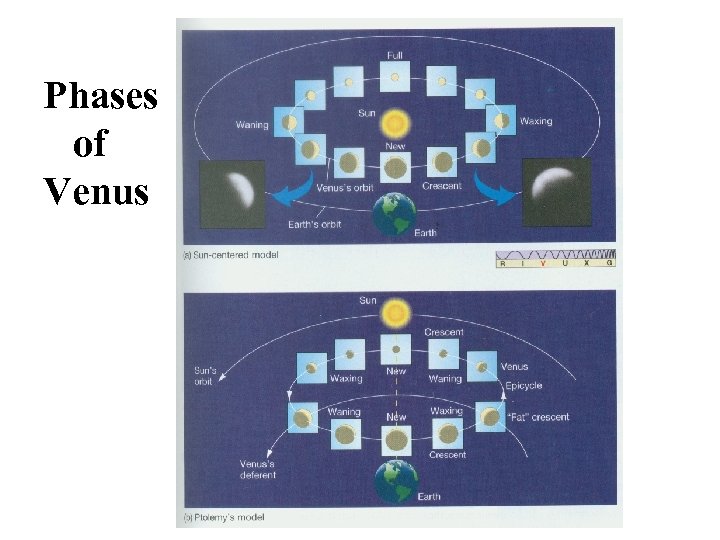 Phases of Venus 