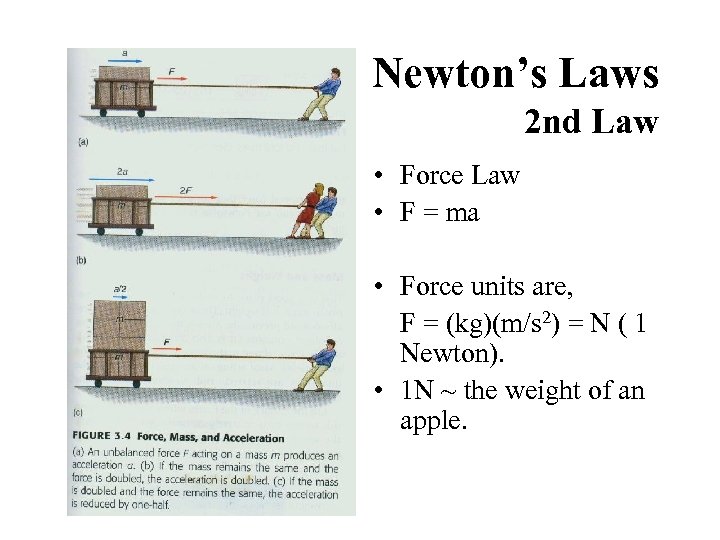 Newton’s Laws 2 nd Law • Force Law • F = ma • Force