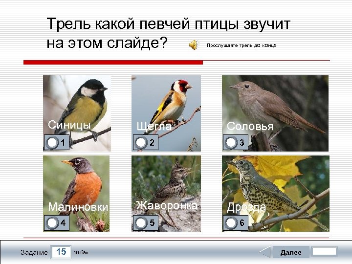 Трель какой певчей птицы звучит на этом слайде? Прослушайте трель до конца Синицы 0