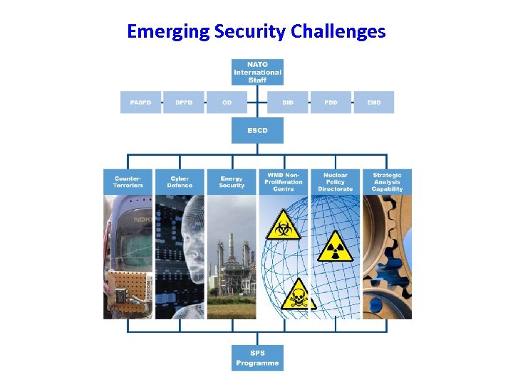 Emerging Security Challenges 