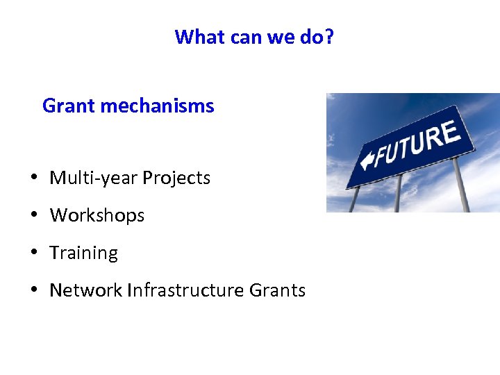 What can we do? Grant mechanisms • Multi-year Projects • Workshops • Training •