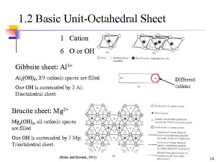 1. 2 Basic Unit-Octahedral Sheet 1 Cation 6 O or OH Gibbsite sheet: Al