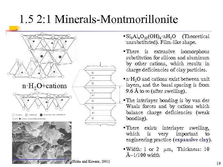 1. 5 2: 1 Minerals-Montmorillonite • Si 8 Al 4 O 20(OH)4·n. H 2