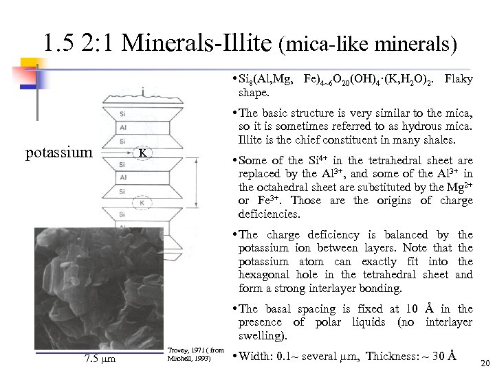 1. 5 2: 1 Minerals-Illite (mica-like minerals) • Si 8(Al, Mg, Fe)4~6 O 20(OH)4·(K,