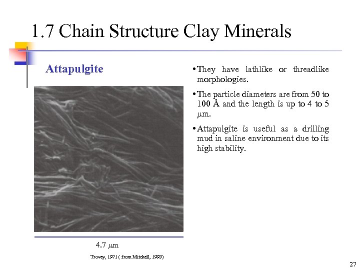 1. 7 Chain Structure Clay Minerals Attapulgite • They have lathlike or threadlike morphologies.