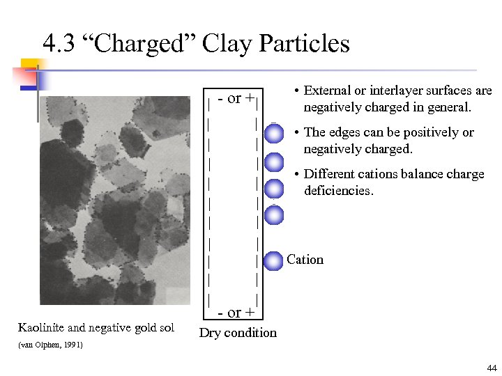 4. 3 “Charged” Clay Particles - or + • External or interlayer surfaces are