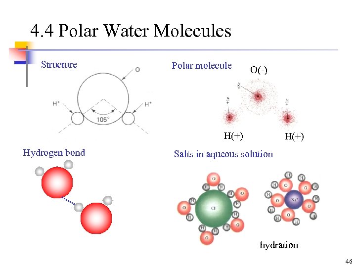 4. 4 Polar Water Molecules Structure Polar molecule O(-) H(+) Hydrogen bond H(+) Salts